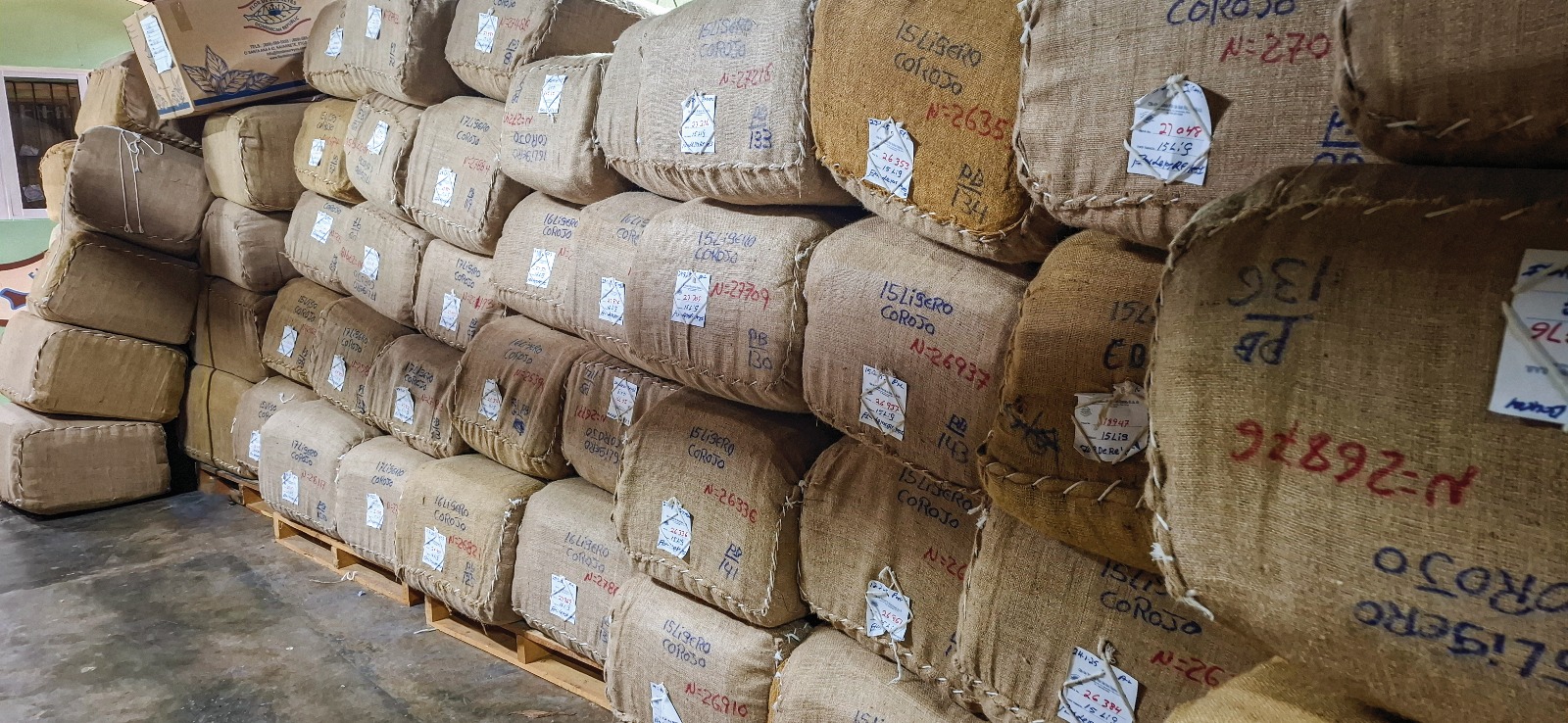Stacked burlap bales of 15 and 17 Ligero Corojo, hand-labeled by lot.