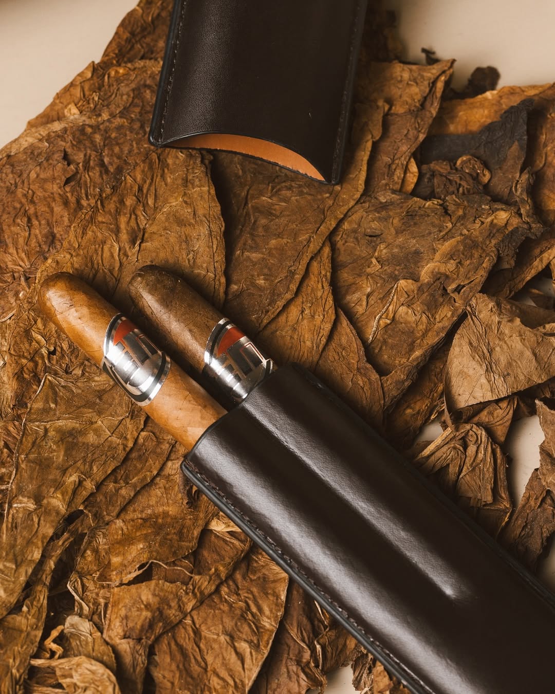 Bespoke edition 12