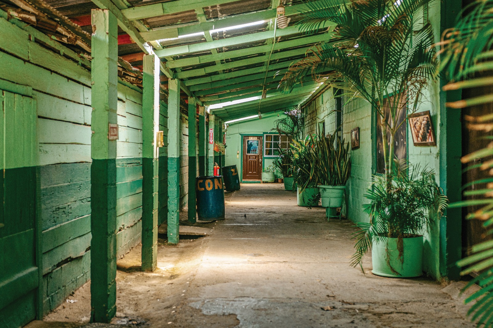 The Reyes family workshop corridor — green-painted wood, palms, and quiet morning light.