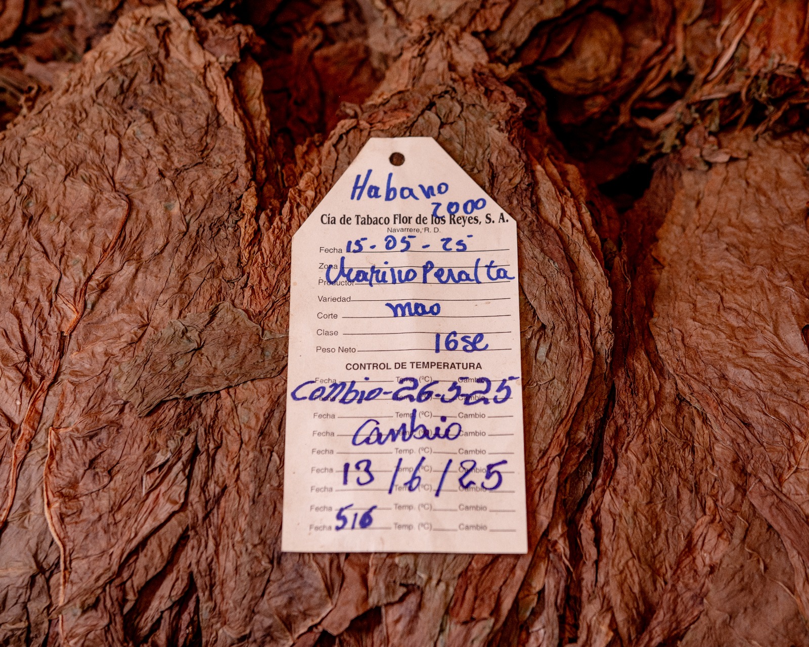 Hand-written control tag — Habano 2000, harvested in Mao, weighed and tracked by lot.