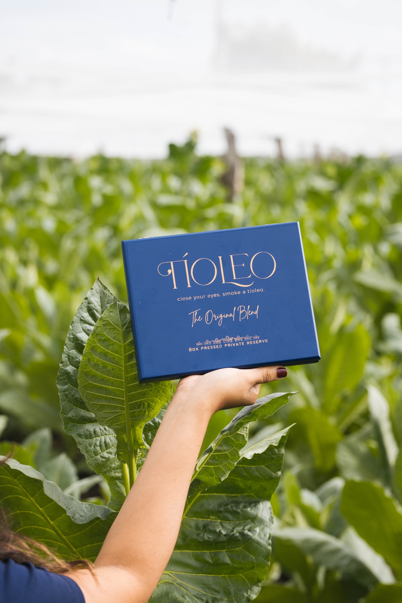 TíoLeo Private Tour